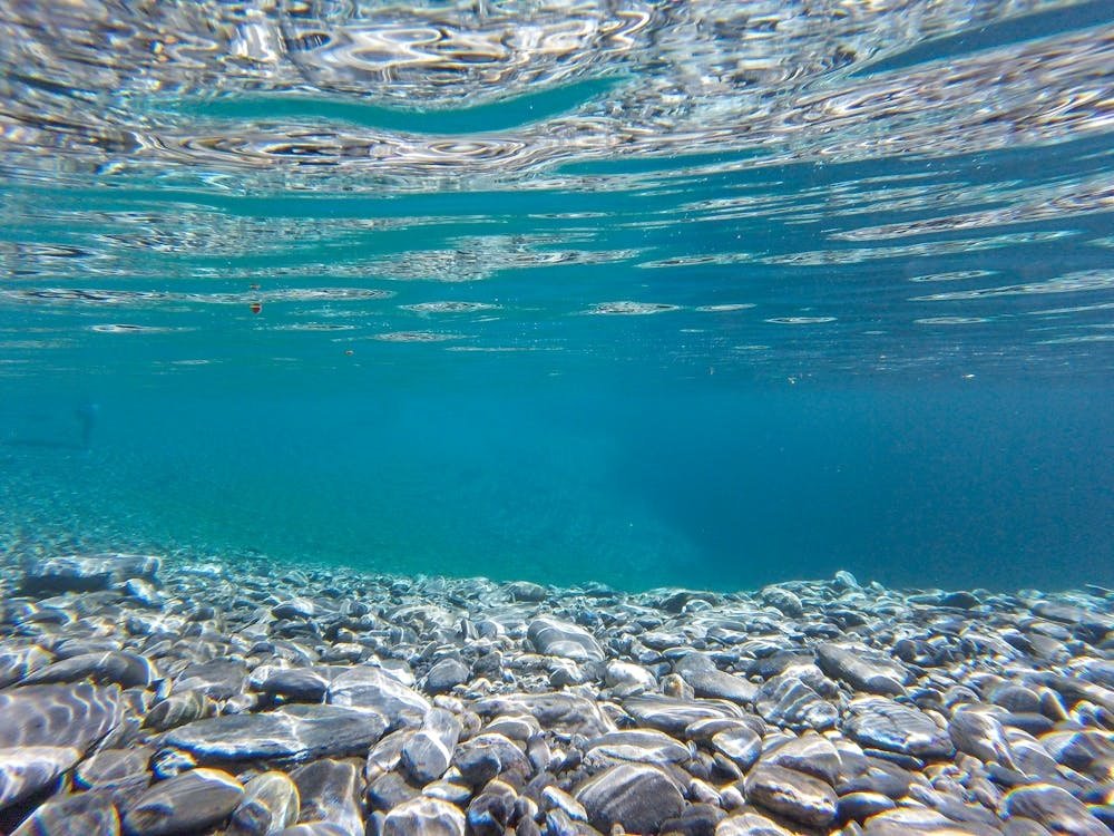 Justice and Health: How Clean Water Contributes to a Thriving Community