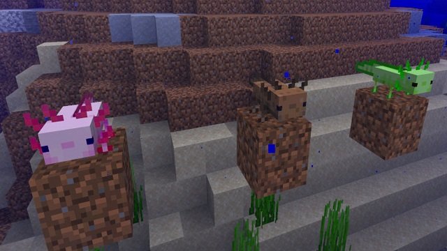 Axolotl Minecraft Game Character Discussed in Detail