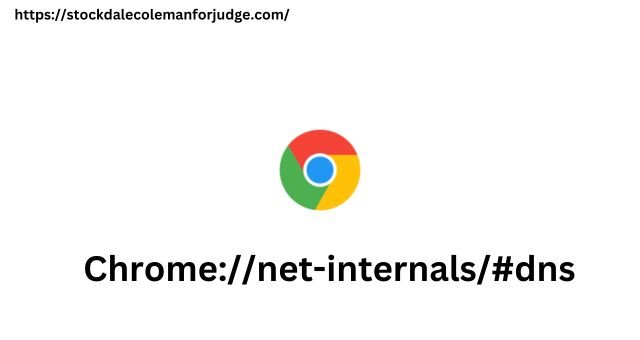 Chrome://net-internals/#dns