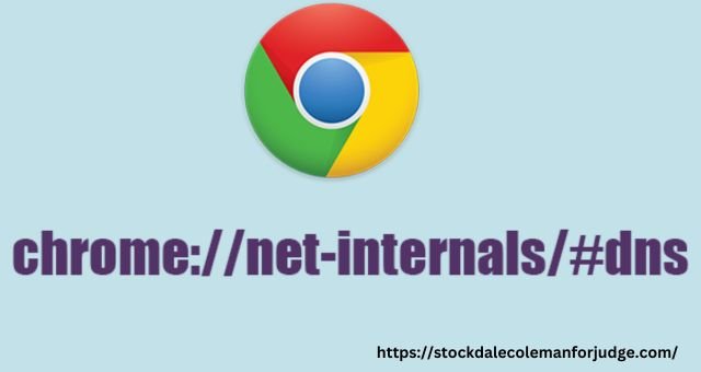 Chrome://net-internals/#dns