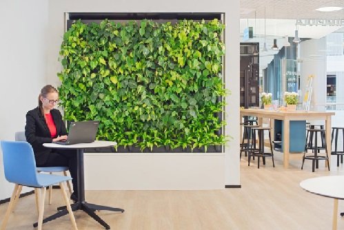 The benefits for any business that transforms its workspace with a vertical garden